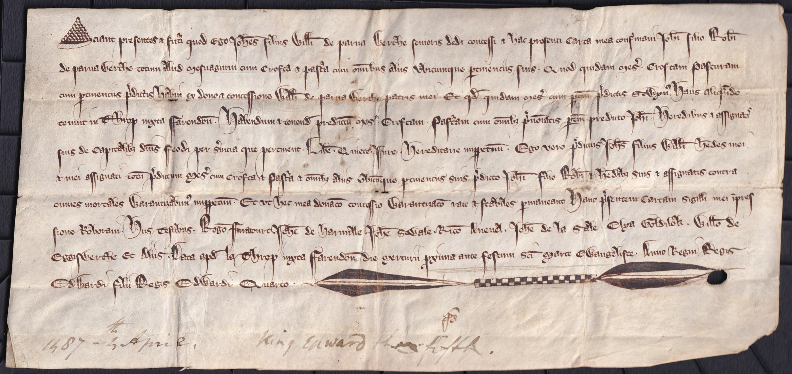 About the Purvis Papers
